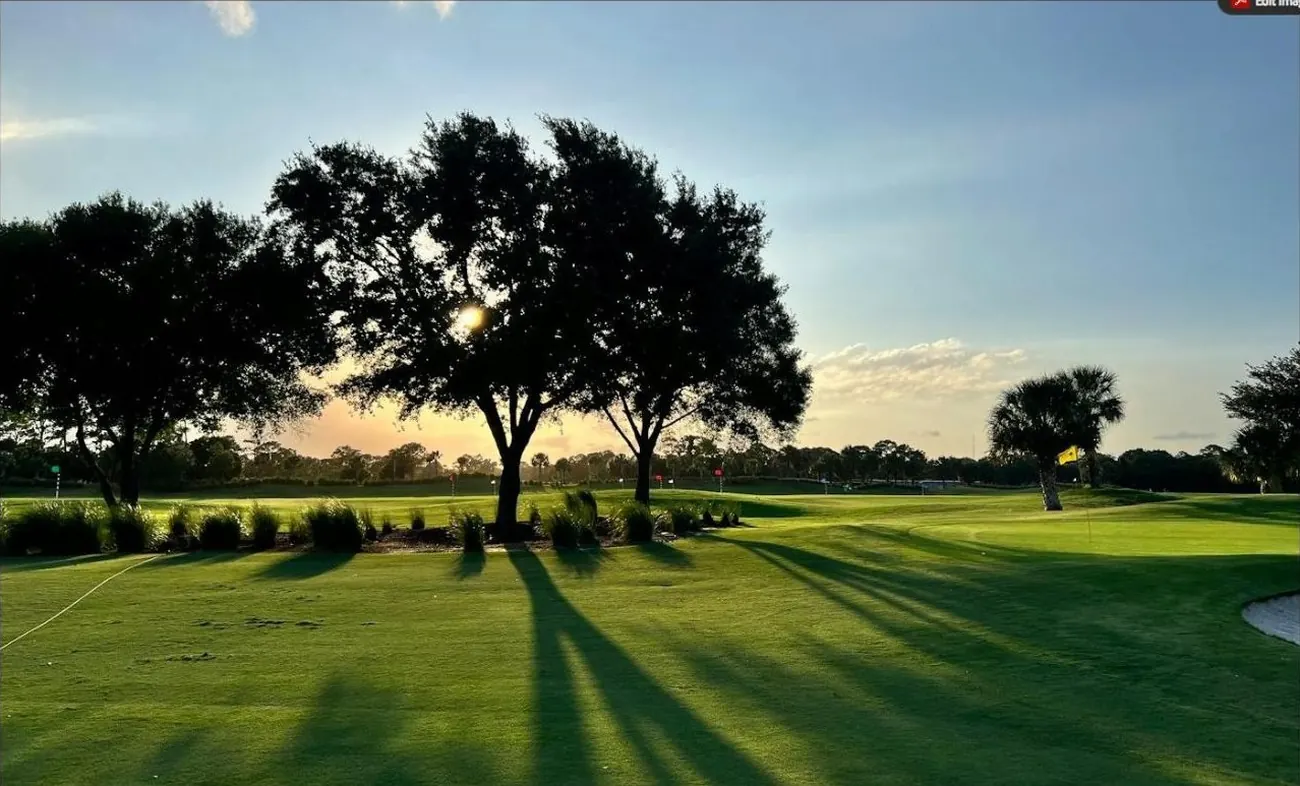 Golf course fairway at sunset with oaks and palms, Doral-style golf community
